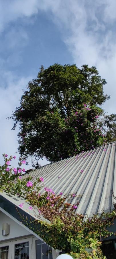 Munnar Tea Hills Resort - Mthr Экстерьер фото