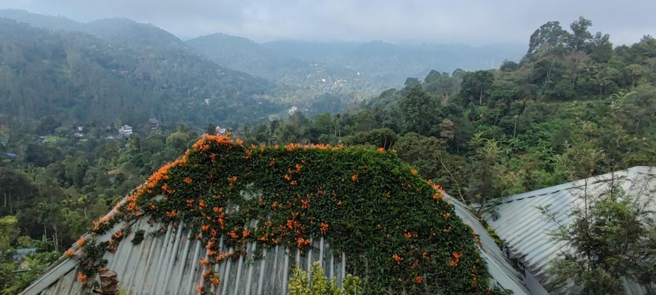 Munnar Tea Hills Resort - Mthr Экстерьер фото
