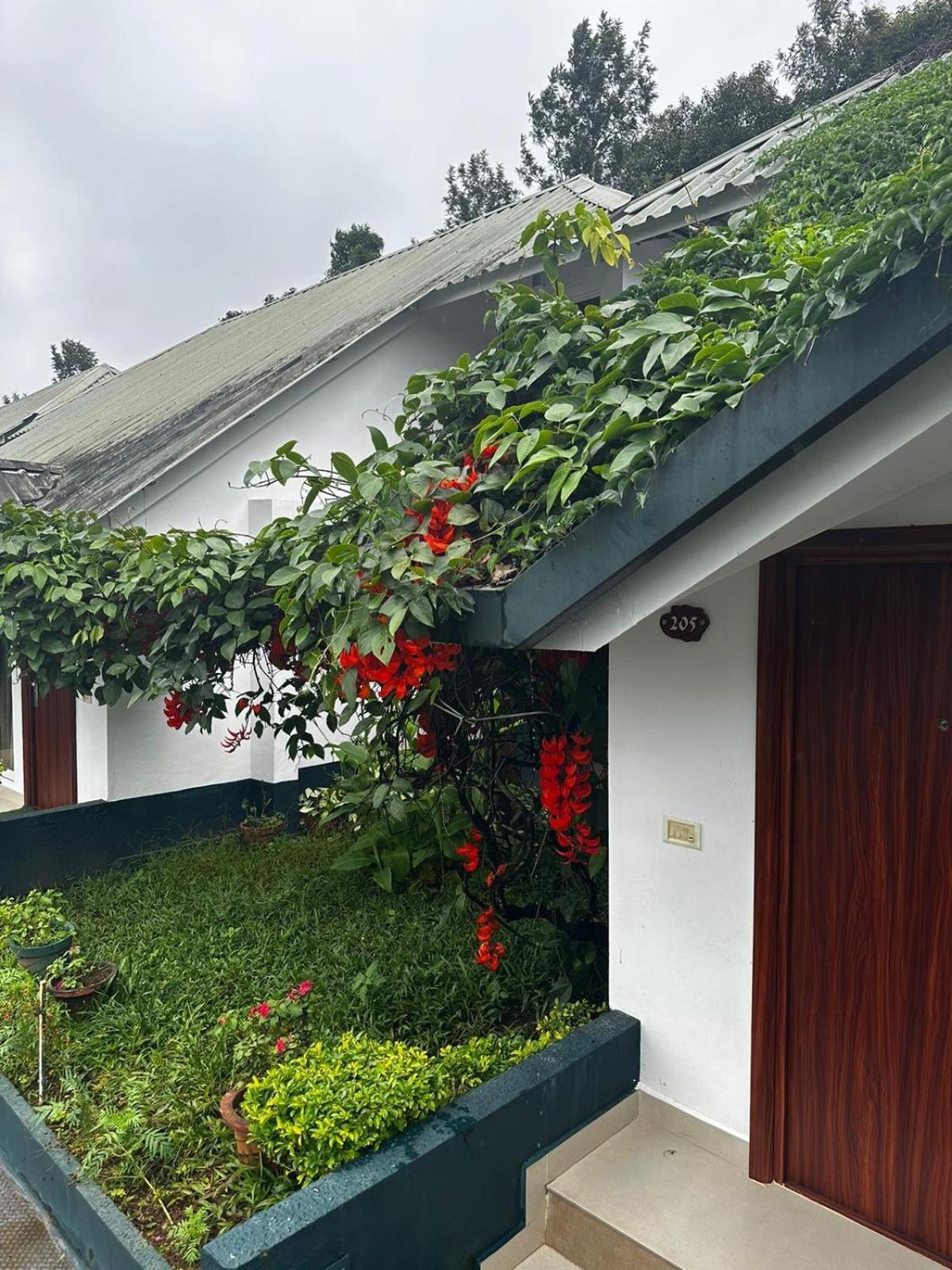 Munnar Tea Hills Resort - Mthr Экстерьер фото